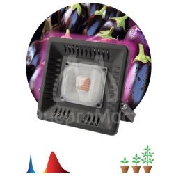 Прожектор для растений FITO-50W-LED BLUERED 50Вт IP65 220-240В -30град. до + 45град. 30000ч ЭРА Б0039033