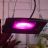 Прожектор для растений FITO-50W-LED BLUERED 50Вт IP65 220-240В -30град. до + 45град. 30000ч ЭРА Б0039033