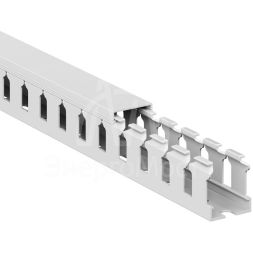 Кабель-канал перфорированный 25х30 L2000 T1 G DKC 00126RL