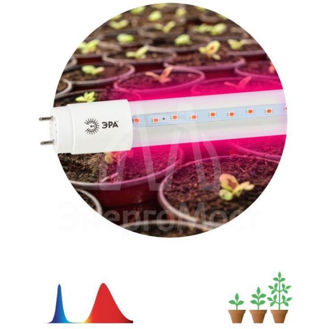 Лампа светодиодная для растений FITO-9W-RB-Т8-G13-NL Т8 48LED 2835 IP20 35000ч стекло красн./син. ЭРА Б0042986