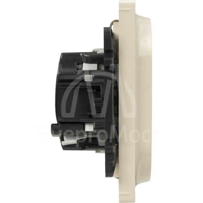 Механизм розетки 2-м СП Valena Life 16А IP20 250В 2х2К+З с лиц. панелью безвинт. зажимы сл. кость Leg 753227