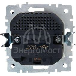 Розетка BRITE РЮш10-2-БрА 16А с USB A+A 3.1А с заземл. защ. шторки алюм. IEK BR-R14-16-U21-D31-K47