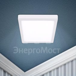 Светильник светодиодный LED 9-18-4K 18Вт 220В 4000К квадратный накладной бел. ЭРА Б0050273