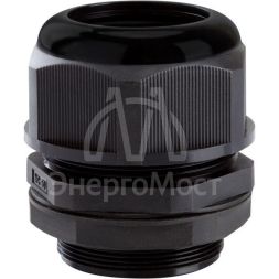 Сальник MG50 (Dпроводника 33-41мм) IP68 КЭАЗ 143122