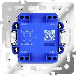 Выключатель 2-кл. СП S70 10А механизм бел. глянцевый Voltum VLS020101