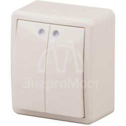 Выключатель 2-кл. ОП Эра Эксперт 10А IP20 11-1205-02 250В 10AX с подсветкой сл. кость Эра Б0020667