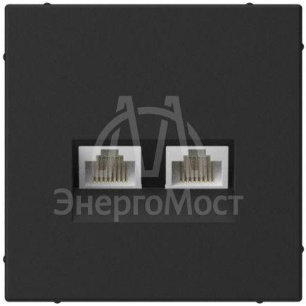 Розетка компьютерная 2-м ArtGallery RJ45 + RJ45 кат.5E механизм карбон SE GAL001085