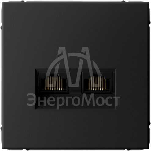 Розетка компьютерная 2-м ArtGallery RJ45 + RJ45 кат.5E механизм карбон SE GAL001085