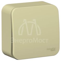 Переключатель 1-кл. ОП Blanca 10А IP20 (сх. 6) 250В с изолир. пластиной беж. SchE BLNVA106017