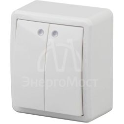 Выключатель 2-кл. ОП Эра Эксперт 10А IP20 11-1205-01 250В 10AX с подсветкой бел. Эра Б0020666