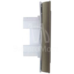 Рамка 1-м IP44 BRITE РУ-1-БрШ-44 шампань IEK BR-M12-44-K37