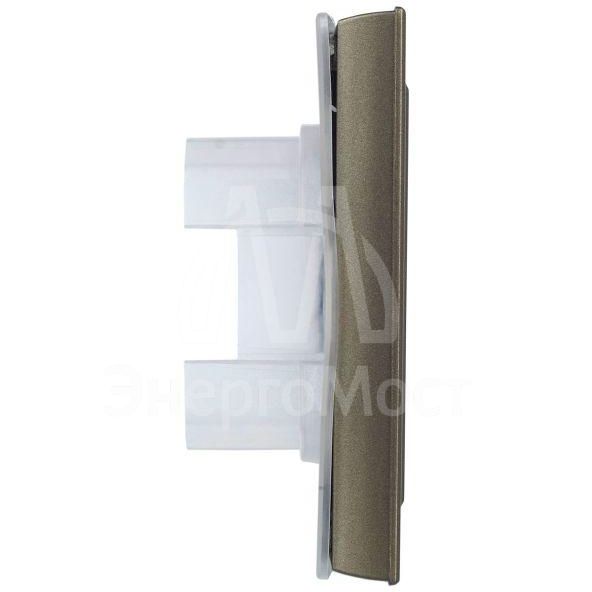 Рамка 1-м IP44 BRITE РУ-1-БрШ-44 шампань IEK BR-M12-44-K37