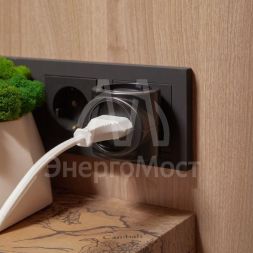 Тройник электрический биметалл 220В 6А черн. REXANT 11-1064-1