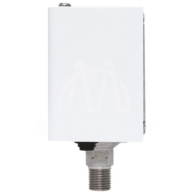 Реле избыточного давления RVG-20-0.6 (0.6МПа) EKF RVG-20-0.6