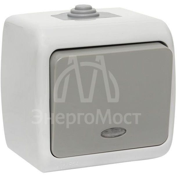 Выключатель 1-кл. ОП Мурманск 10А IP54 с индикатором сер. EKF EFV10-121-30-54