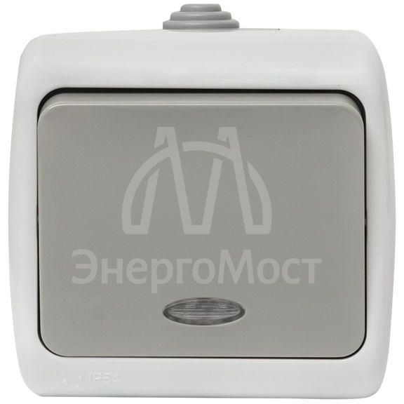 Выключатель 1-кл. ОП Мурманск 10А IP54 с индикатором сер. EKF EFV10-121-30-54