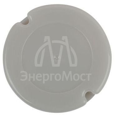 Датчик движения DF 303 фотореле сер. макс. нагрузка 5500В.А IP44 (501050) Эра Б0043806