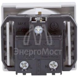 Розетка 1-м СП Viva 2мод. защ. шторки с заземл. сер. DKC 45025