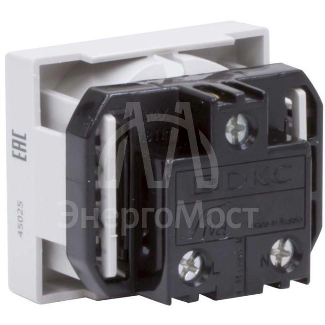 Розетка 1-м СП Viva 2мод. защ. шторки с заземл. сер. DKC 45025