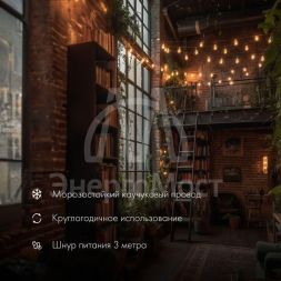 Гирлянда &amp;quot;Белт Лайт&amp;quot; 20 патронов 10 метров IP65 провод каучук черн. Neon-Night 331-355