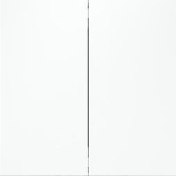 Выключатель 2-кл. СП S70 10А с самовозвратом механизм бел. матов. Voltum VLS020602