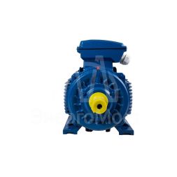 Электродвигатель АИР 160 (15 кВт 1000 об/мин) М6 IM 1001 на лапах