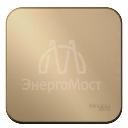 Переключатель 1-кл. ОП Blanca 10А IP20 (сх. 6) 250В с изолир. пластиной титан SchE BLNVA106014