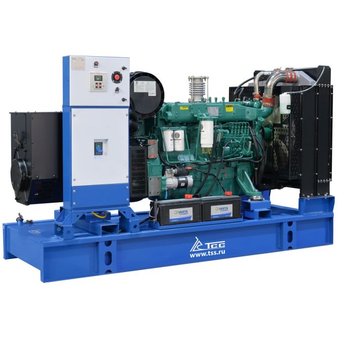 Дизельная электростанция в контейнере с АВР 200 кВт ТСС АД-200С-Т400-2РНМ7