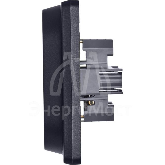 Розетка Inspiria 16А 250В 2х2P+E немецк. стандарт антрацит Leg 673753