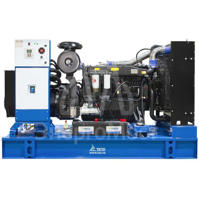 Дизельный генератор в контейнере ТСС АД-200С-Т400-1РНМ5 ПРОФ