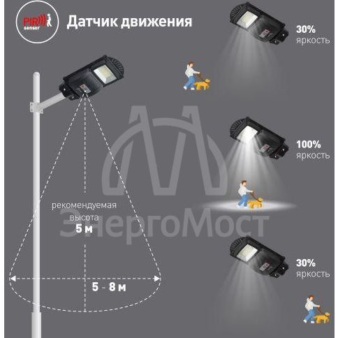 Светильник консольный 20Вт 400лм 5000К IP65 на солнечной батарее SMD с датчиком движения ПДУ ЭРА Б0046797