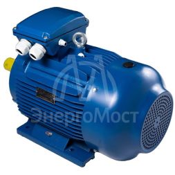 Электродвигатель АИР 180 (30 кВт 3000 об/мин) М2 IM 1001 на лапах