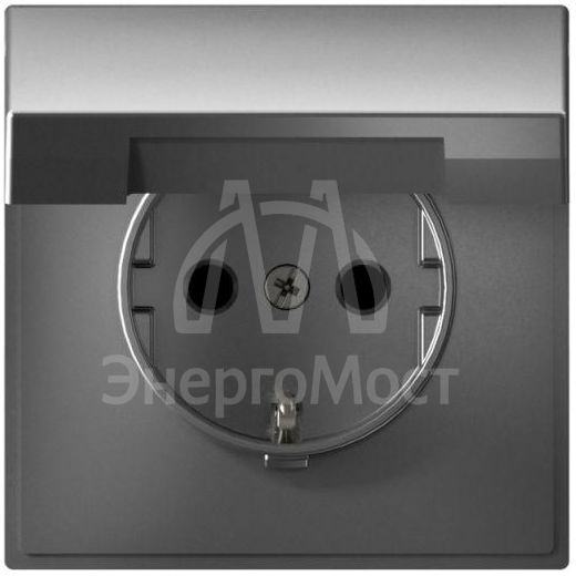 Розетка ArtGallery 16А IP20 с заземл. защ. шторки с крышкой механизм сталь SE GAL000946