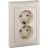 Розетка 2-м СП Valena в сборе с заземл. сл. кость Leg 774370