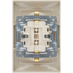 Розетка 2-м СП Valena в сборе с заземл. сл. кость Leg 774370