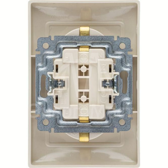 Розетка 2-м СП Valena в сборе с заземл. сл. кость Leg 774370