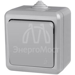 Выключатель 1-кл. ОП Dita IP54 10А 250В сер. TOKOV LIGHT TKL-DT-V1-C06-IP54