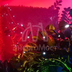 Светильник светодиодный Каскад Летний Дождь 6.9м IP65 садовый с выносной солнечн. панелью 2м и аккумулятором холод. бел. Lamper 602-249