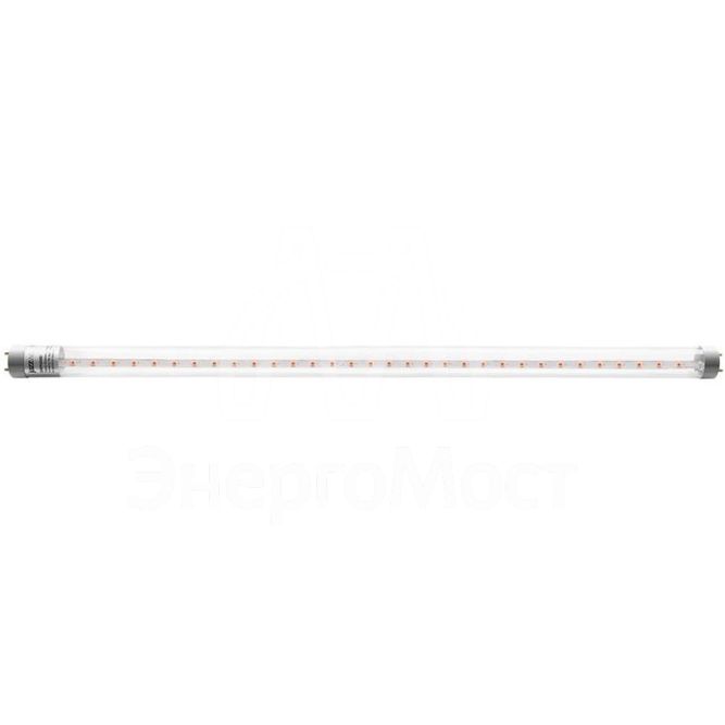 Лампа светодиодная PLED T8-900 PPG Agro 12Вт G13 CL для растений JazzWay 5037410