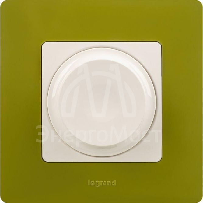 Рамка 1-м Etika зел. папоротник Leg 672541