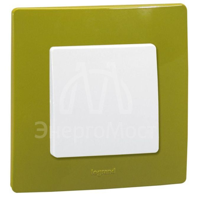 Рамка 1-м Etika зел. папоротник Leg 672541