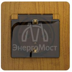 Розетка 1-м СП Glossa 16А с защ. крышкой защ. шторки с заземл. в сборе дер. дуб SchE GSL000546