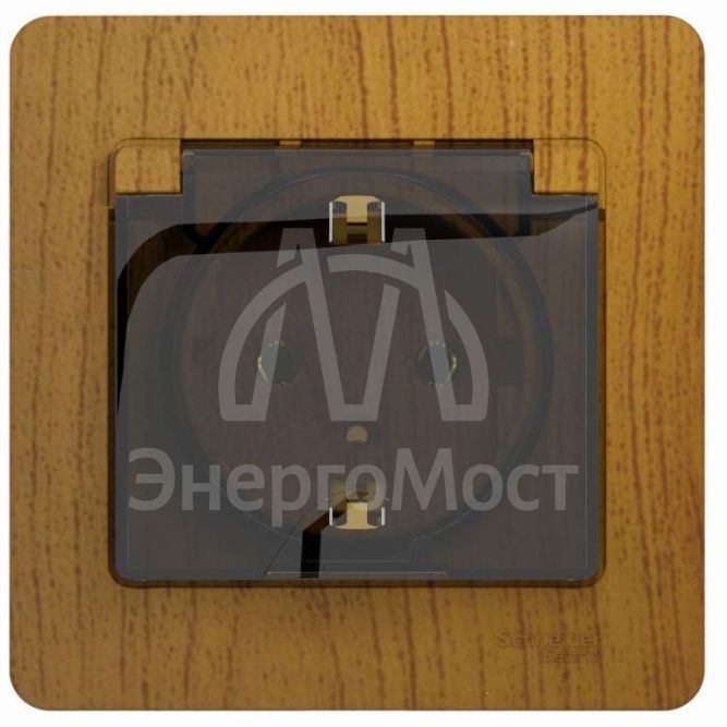 Розетка 1-м СП Glossa 16А с защ. крышкой защ. шторки с заземл. в сборе дер. дуб SchE GSL000546