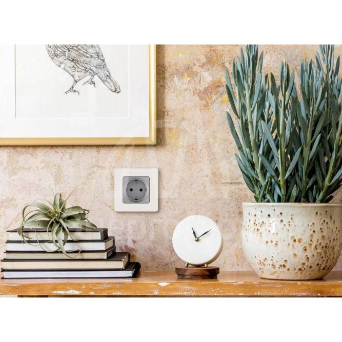 Розетка 1-м СП Inspiria 16А IP20 2P+E немецк. стандарт алюм. Leg 673722