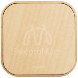 Выключатель 1-кл. ОП Quteo 10А IP20 10AX дерево Leg 782260