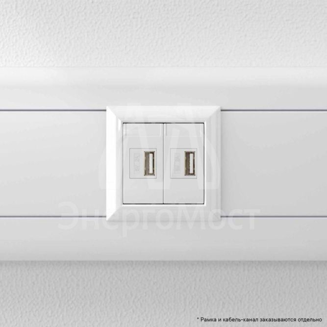 Устройство зарядное USB 2мод. 2.1А Avanti &amp;quot;Белое облако&amp;quot; DKC 4400542