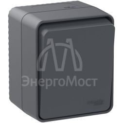 Переключатель 1-кл. ОП AtlasDesign Profi54 10 АХ антрацит SchE ATN544061