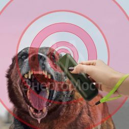 Отпугиватель/тренер собак ультразвуковой Rexant 71-0069