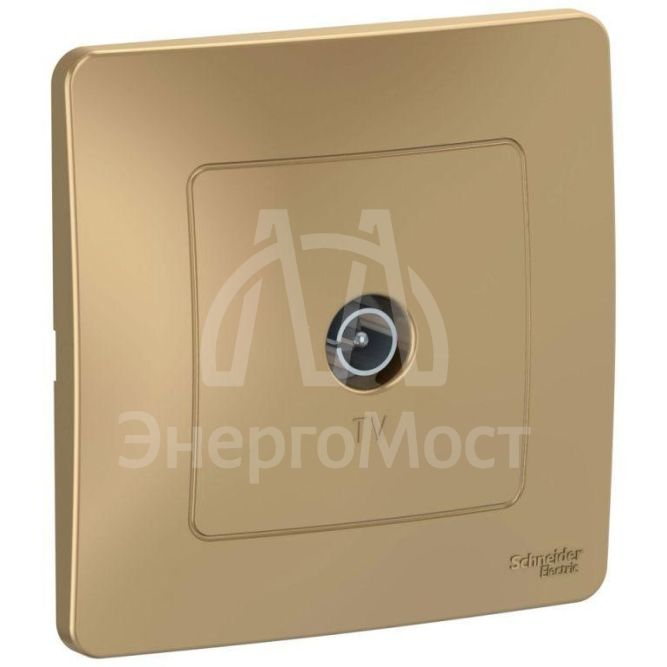 Розетка телевизионная TV 1-м СП Blanca коннектор титан SchE BLNTS000014