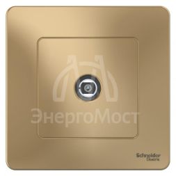 Розетка телевизионная TV 1-м СП Blanca коннектор титан SchE BLNTS000014